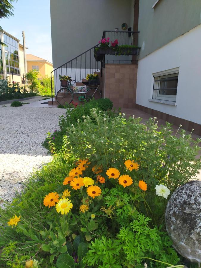 Casa Vacanze I Giardini Di Marzo Сан-Джорджо-ди-Мантова Экстерьер фото